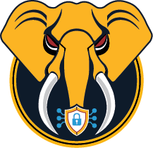 Fidus Cyber Solutions logo